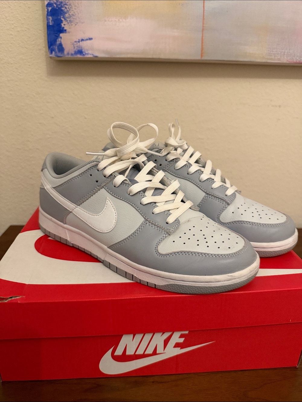 Nike Dunk Men’s Low Top Sneakers in Light Gray and White